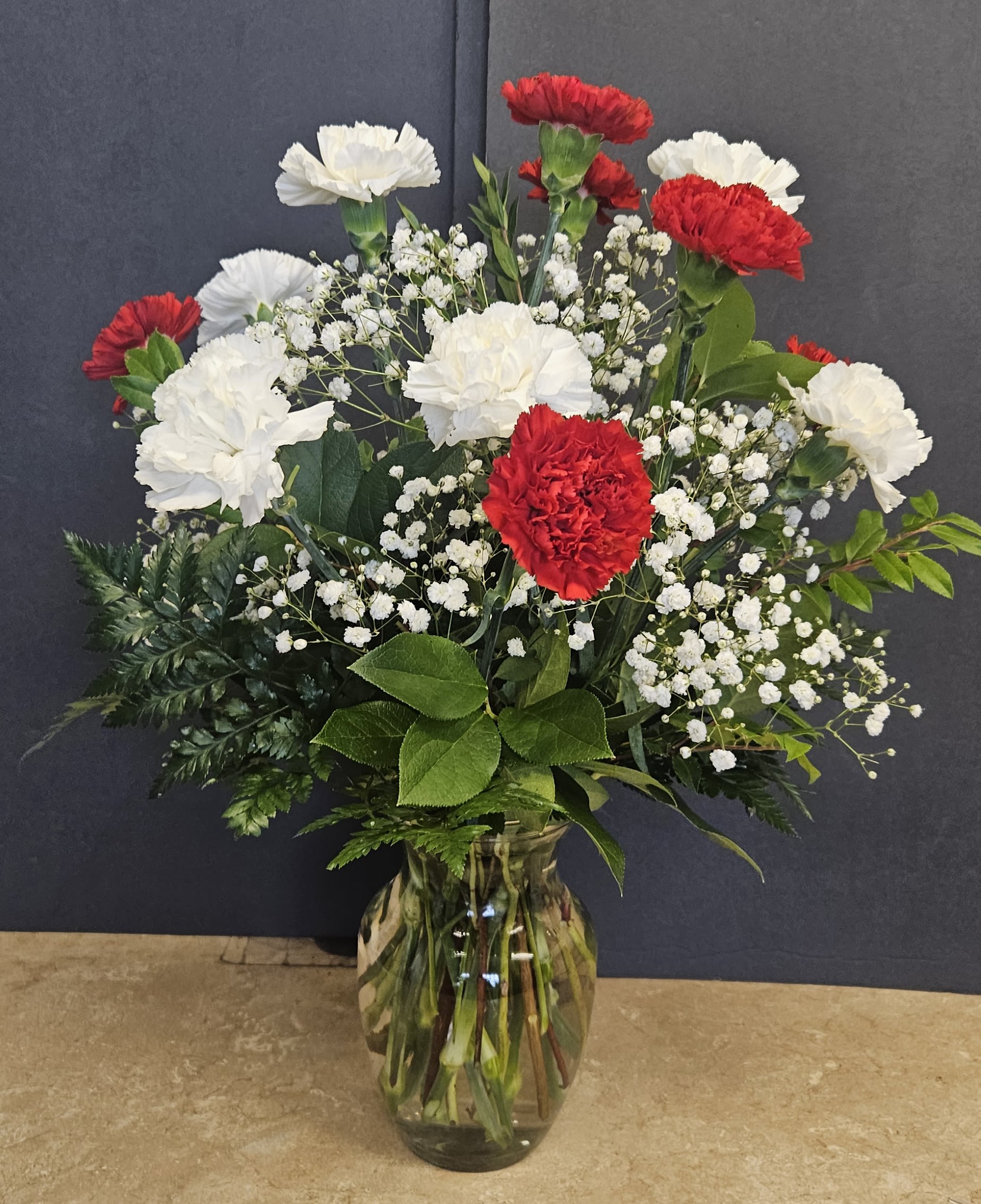 Red and White Carnations - Beautiful red and white carnations with baby's breath