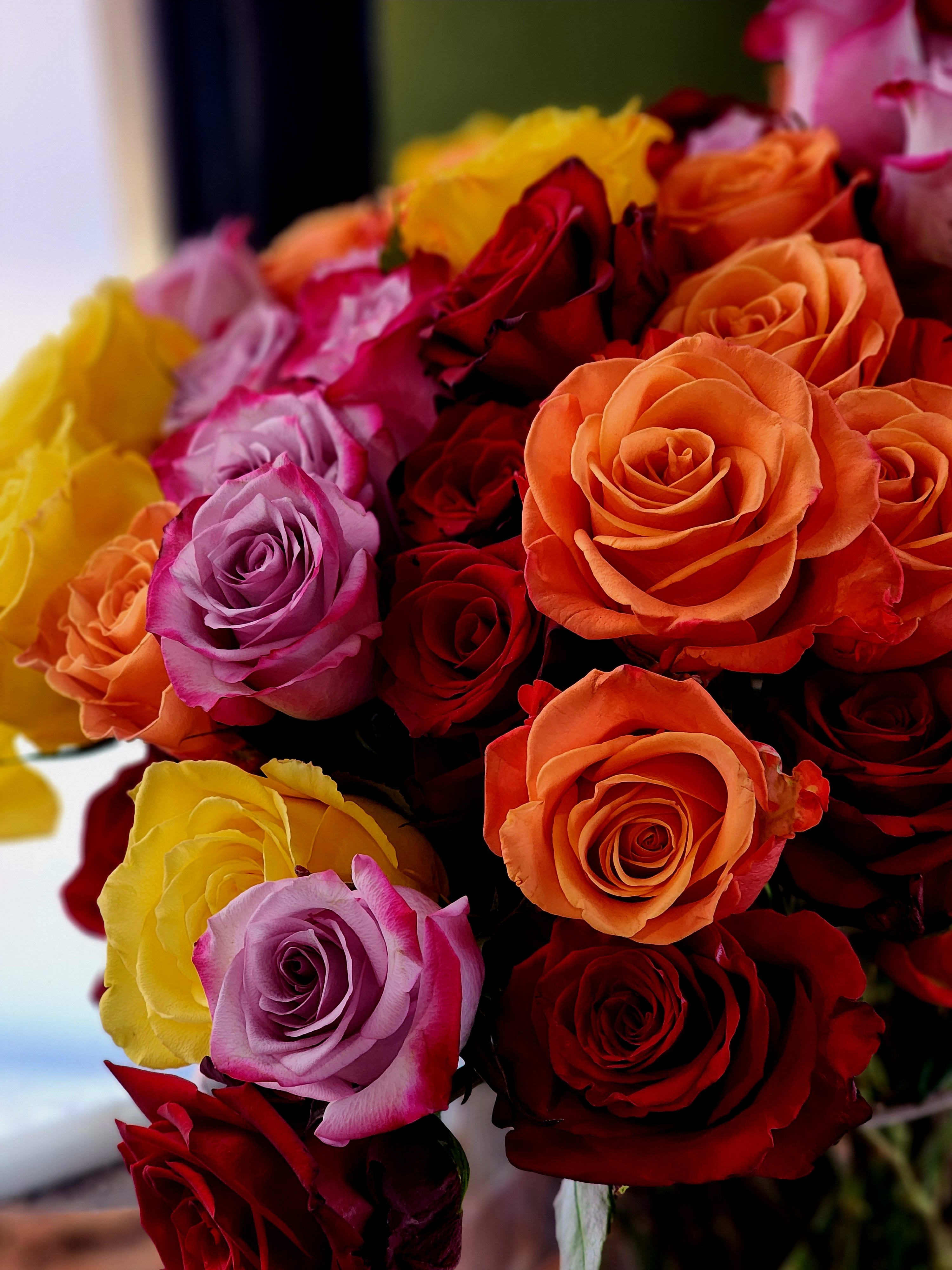 All about Roses - Mixed color roses. Red, Pink. Yellow, Lavender, and Orange Available. 