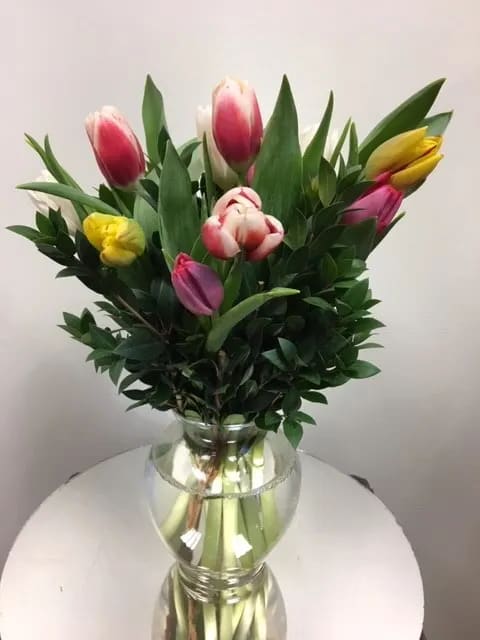 Tasteful Tulips - A tightly arranged bouquet of one dozen assorted color tulips, grown for us on Prince Edward Island, Canada.  Just what's needed to conquer winter blues!  Arrangements of all one color may be available, too.