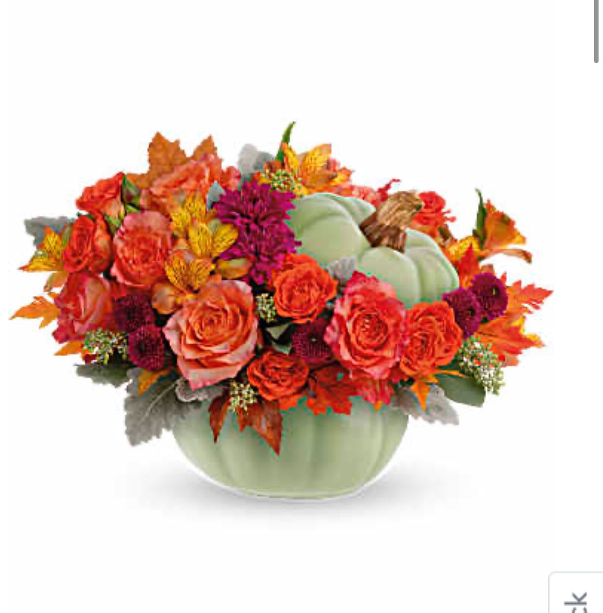 Pumpkin spice - Green pumpkin beautiful design specially for the one love fall 