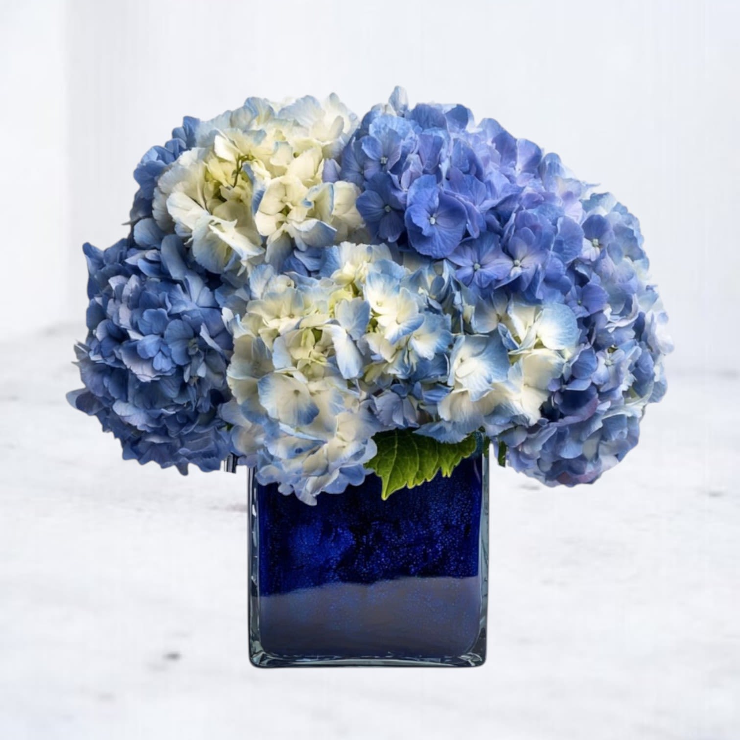 Nebula Sky - Offer a heartfelt expression of sympathy with Nebula Sky, a serene and elegant floral tribute designed to honor a cherished life. This arrangement features lush blue and white hydrangeas, symbolizing peace, remembrance, and eternal love. Nestled in a sleek blue vase, its calming hues bring a sense of comfort and solace during times of loss. Ideal for funeral services, memorial gatherings, or as a meaningful condolence gift, Nebula Bloom conveys your deepest sympathies with grace and beauty.