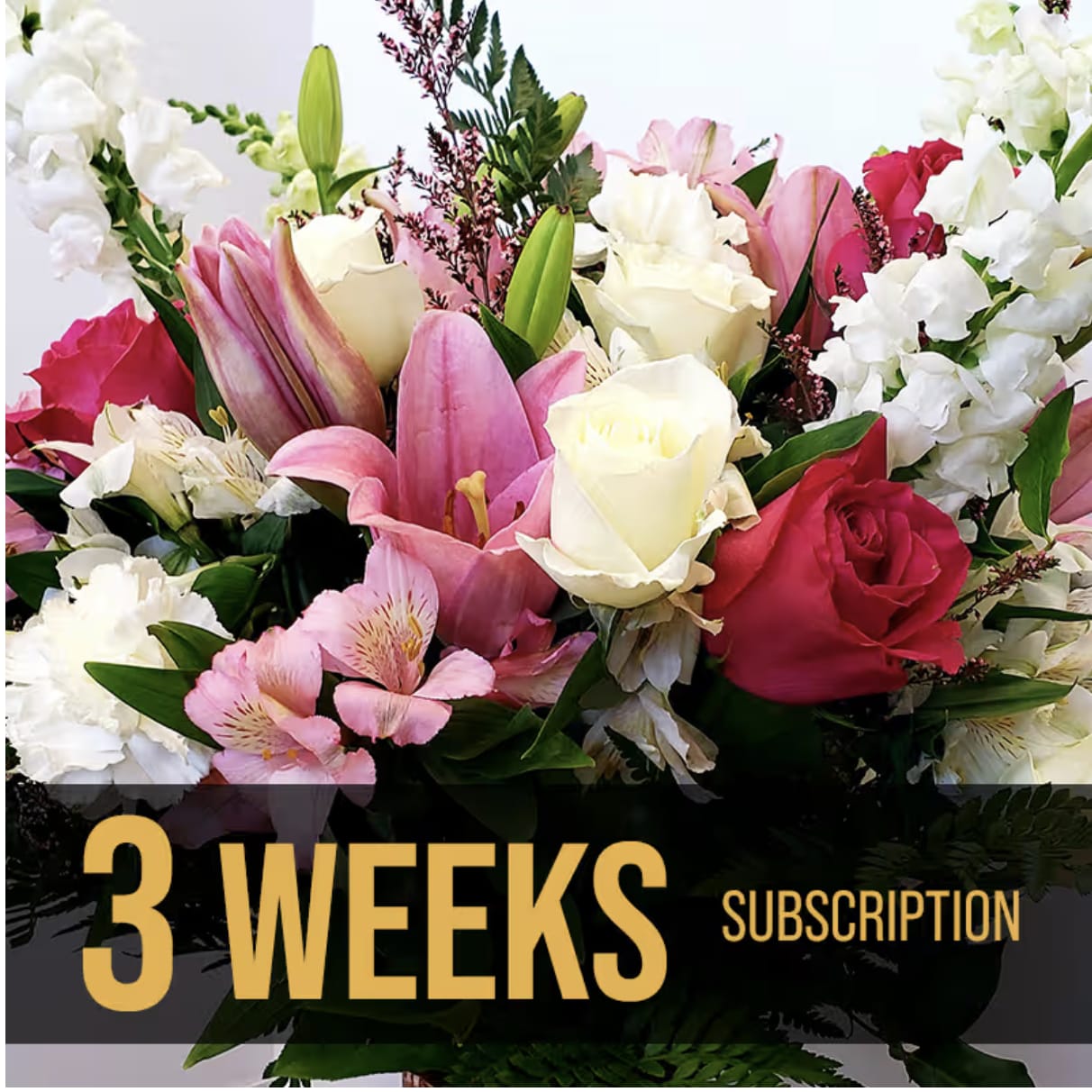 3 WEEK SUBSCRIPTION - 3 WEEK SUBSCRIPTION $175.00 This is a GREAT deal! You will receive a fresh new wrapped bouquet every week. They $165 covers all 3 weeks. Thats only $55 per week.