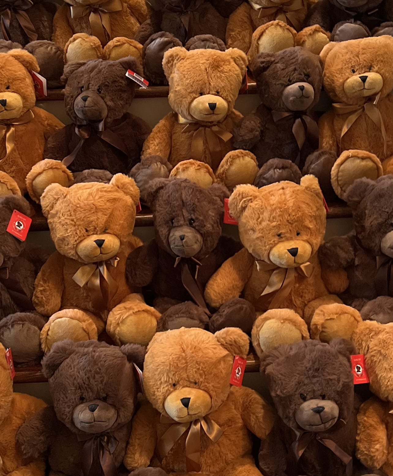 Plush Teddy Bear with Satin Bow - Plush Teddy Bear with Satin Bow Tie (measures 20 inches) (color vary)