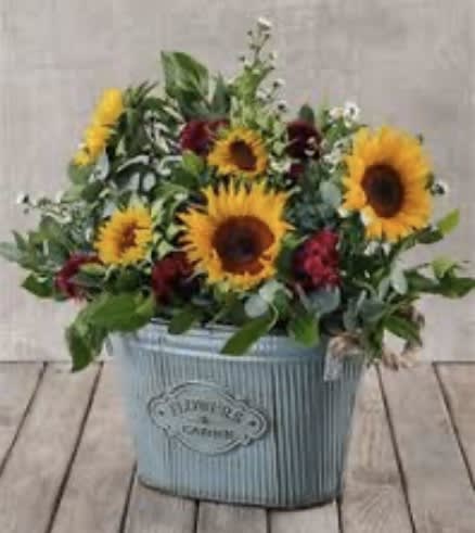 Love Grows Here - Oval galvanized tin overflowing with greens, sunflowers, carnations and fillers. Deluxe and premium options include roses. 