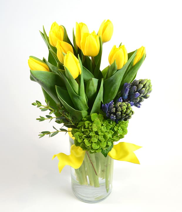 Dutch Treat - Spring tulips and hyacinth accented with hydrangea and finished with French ribbon. NOT all arrangements will be yellow as shown.