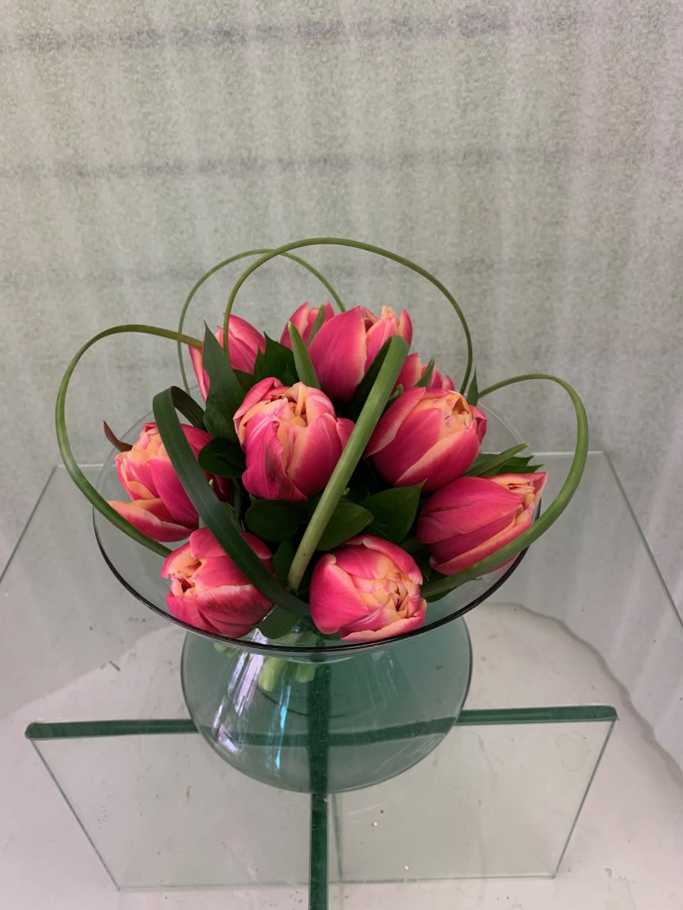 Twisted Tulips - Hand-tied cluster of double tulips in a short bowl, cube or cylinder accented with lily grass foliage. Color will vary with inventory available that day. Standard is 10 tulips, deluxe 20 and premium (shown in thumbnail) is 40 tulips. For a  taller presentation - please select "Tulip Love".
