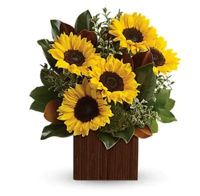 You're Golden Bouquet - Rise and shine! Send her a sunrise with this golden bouquet of bright-as-day sunflowers. It's the perfect gift for the light of your life. Bold, bright sunflowers are arranged with delicate oregonia, magnolia leaves, lemon leaf and moss. Delivered in a Bamboo Cube. 