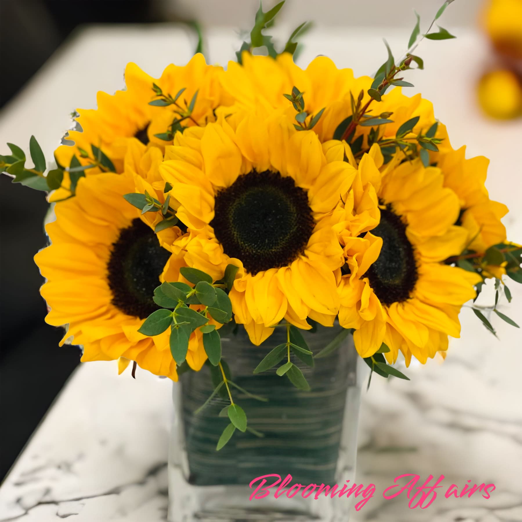 Bloom0301 - Sunrise in NYC