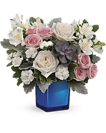 Enchanting Blue Bouquet - Soft as a whisper, this enchanting bouquet of cream and pink roses looks oh-so-lovely in a cobalt blue glass cube that later becomes a comely candleholder. CrÃ¨me roses, pink spray roses, white alstroemeria and miniature white carnations are arranged with variegated pittosporum, dusy miller, white sinuata statice and a large, potted green echeveria succulent. Delivered in a Color Splash Cube. 