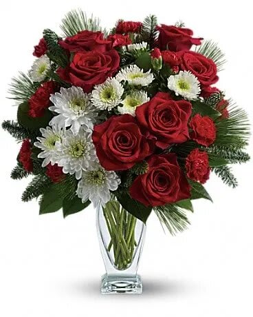 Winter Kisses Bouquet - Send a winter kiss to your special someone with this romantic mix of ravishing red roses, snow white flowers and fresh winter greens. Arranged in a gorgeous sculpted glass vase, it's a gift she'll always remember. This heartwarming bouquet includes red roses, red carnations, red miniature carnations, white matsumoto asters, white cushion chrysanthemums, noble fir, white pine and lemon leaf. Delivered in a gorgeous glass Couture vase.