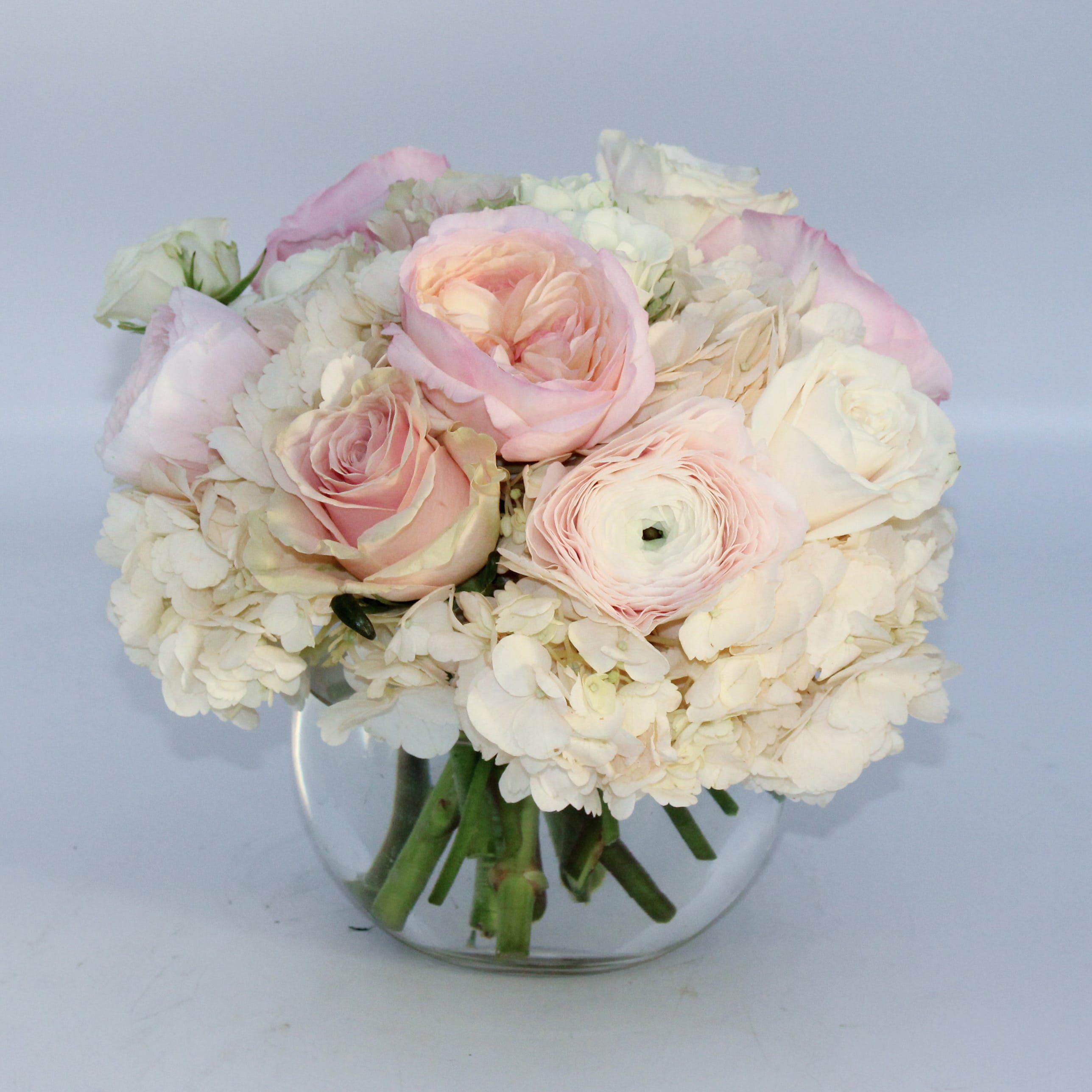 My Type on Paper - My Type on Paper is an adorable mix of premium Blush Pink Hydrangea, Blush and White Roses, Blush Clooney Ranunculus, and White Spray Roses arranged in a clear glass bubble bowl vase. The Standard sized Bit of Me is arranged in a 6 inch bubble bowl and is pictured. 