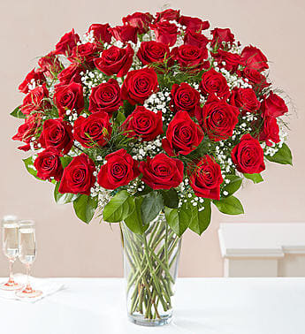 XL 50 Red Roses Arrangement - 50 Red Roses with baby's breath and greens in a vase to make a HUGE impact on Valentines Day for your special someone! 