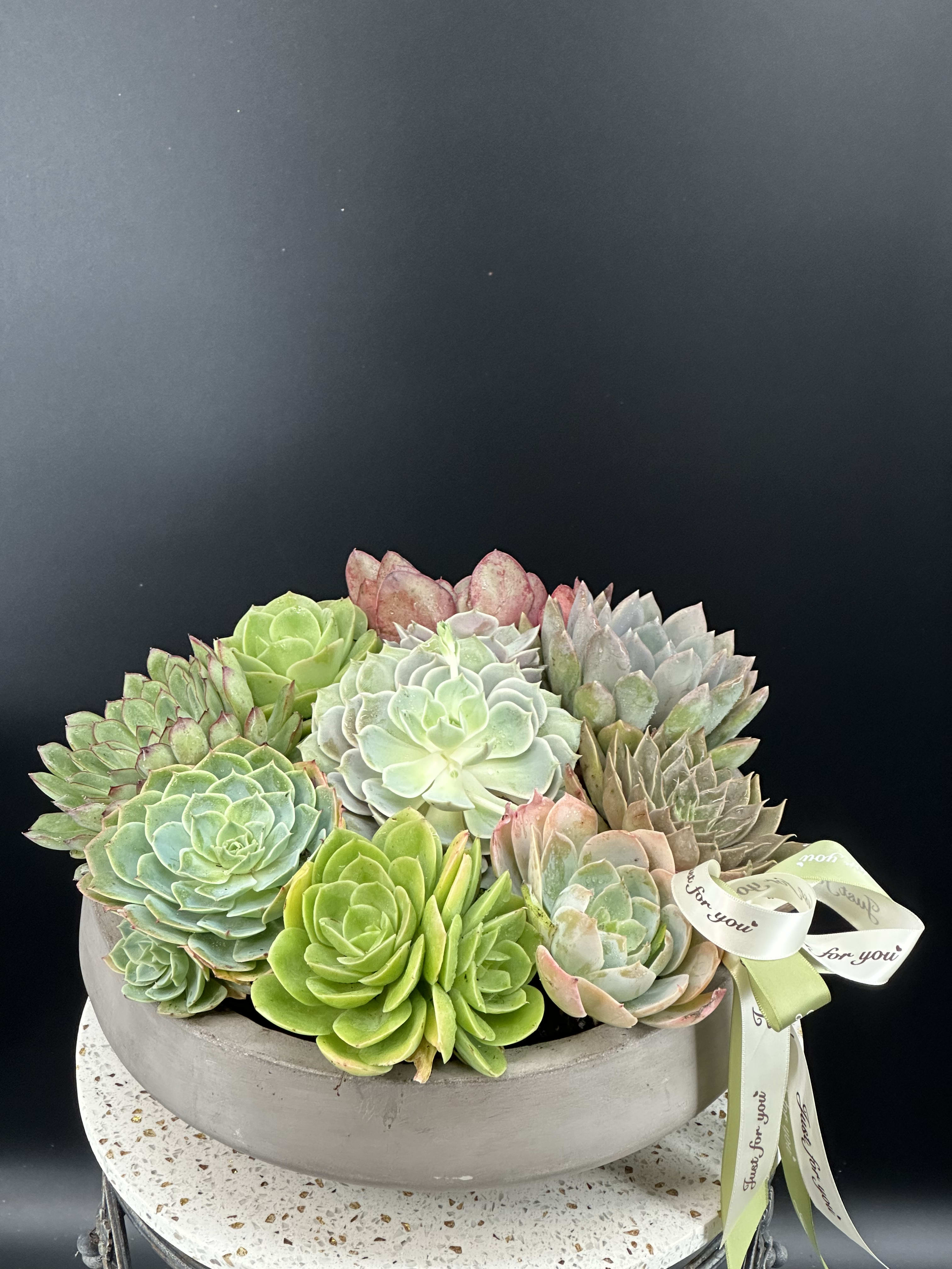 Silent Garden of Succulents. - A modern botanical sculpture featuring layered succulent in soft ,organic tones .Designed for elevate interiors and refined taste .An elegant gift ,curated with premium elements and understand luxury and timeless beauty with no expiration . Size 13 in *5 in 