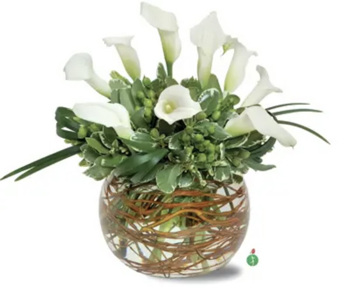 Calla Royale - A very elegance ,luxurious fresh white calla lilies and rich seasonal greens ,artfully arranged in a clear glass bowl wrapped with natural vine detailing.Designed to make a statement ,this elegant events ,hospitals receptions ,gifting ,sympathy ,or any other occasions.