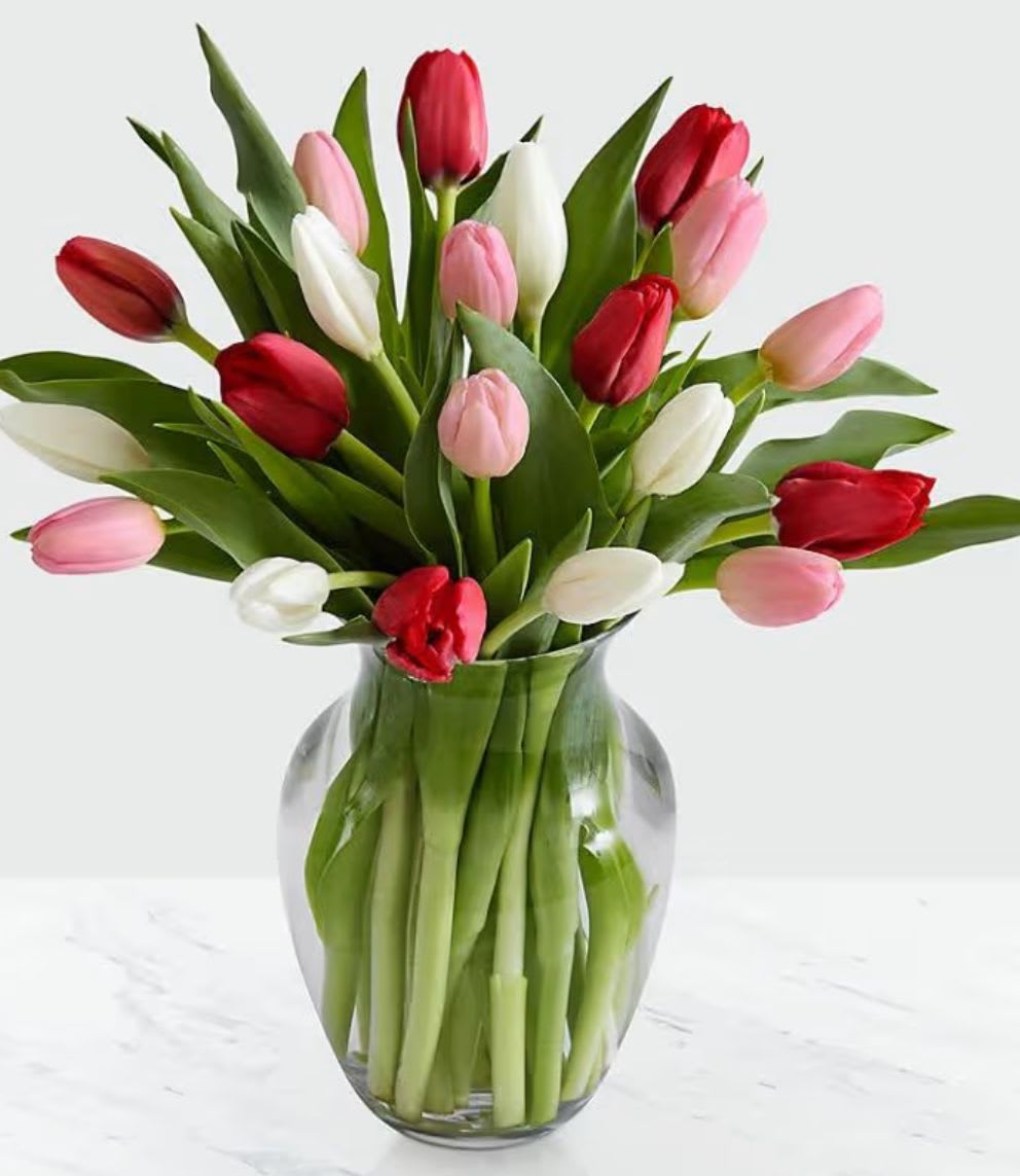 Blooming Tulips - Brighten their day, literally and figuratively, with tulips in a rainbow of hues. It’s a welcome gift for any occasion  Bouquet of red, pink and white tulips, available in 10-12 stems with greenery; colors may vary based on availability!