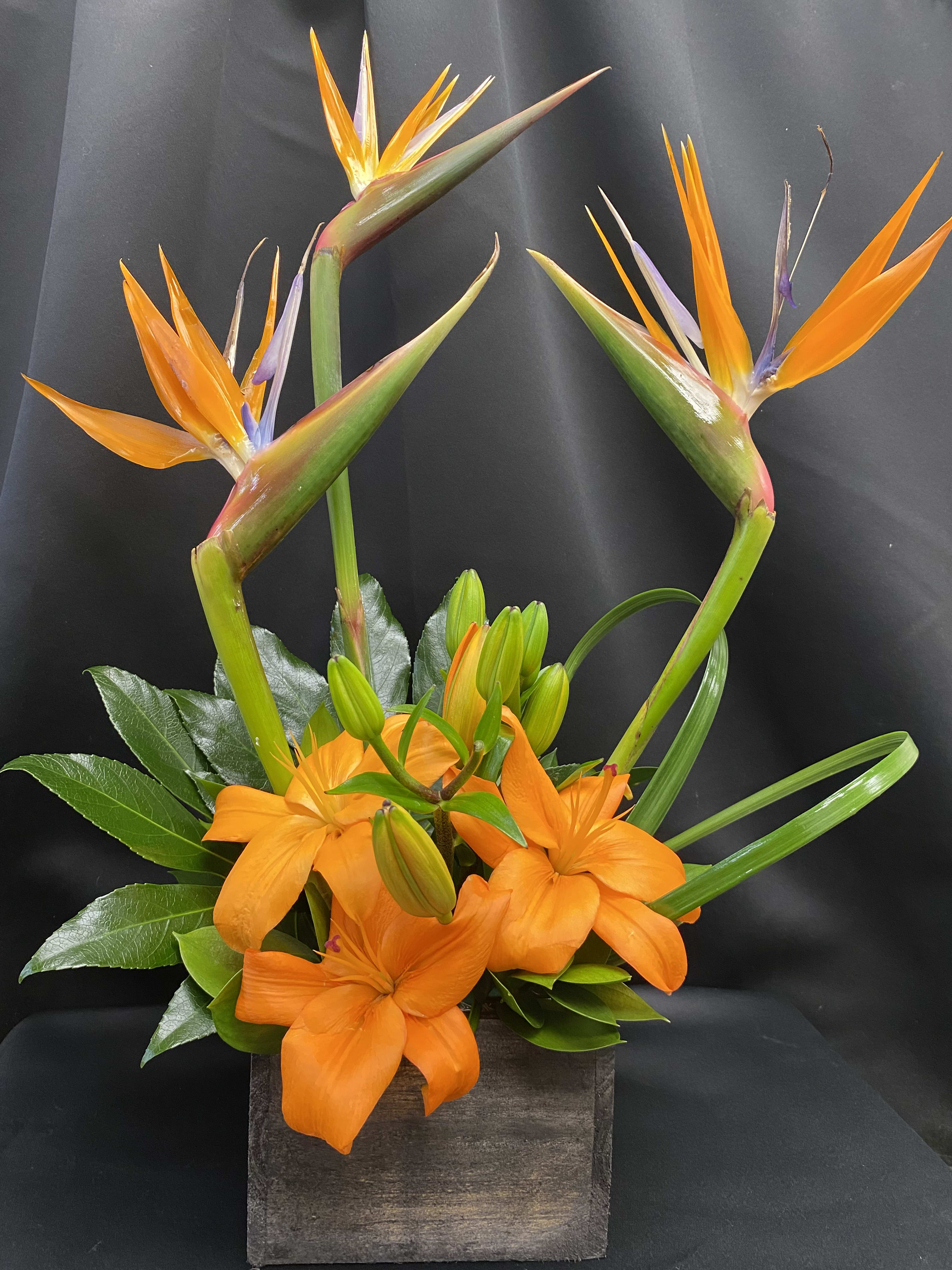 Bamboo Paradise - The exciting bouquet includes birds of paradise and orange Asiatic lilies delivered in a 6 1/4" contemporary cube vase made of real bamboo. Bouquet is approximately 17 1/4" W x 26 1/4" H  TFWEB615