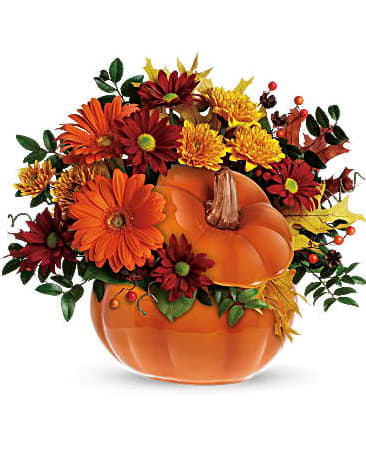 Teleflora's Country Pumpkin - This pumpkin is sure to please! Send your special someone fall flowers and a keepsake gift with this reusable ceramic pumpkin arrangement. The fun Halloween decoration or spirited fall floral decoration for the home or office can later be used to serve Thanksgiving soup or stuffing! Orange gerberas, bronze cushion mums, red daisies, huckleberry and salal are accented with yellow oak leaves and artificial fall berries. Presented in a reusable ceramic pumpkin container. Orientation: One-Sided