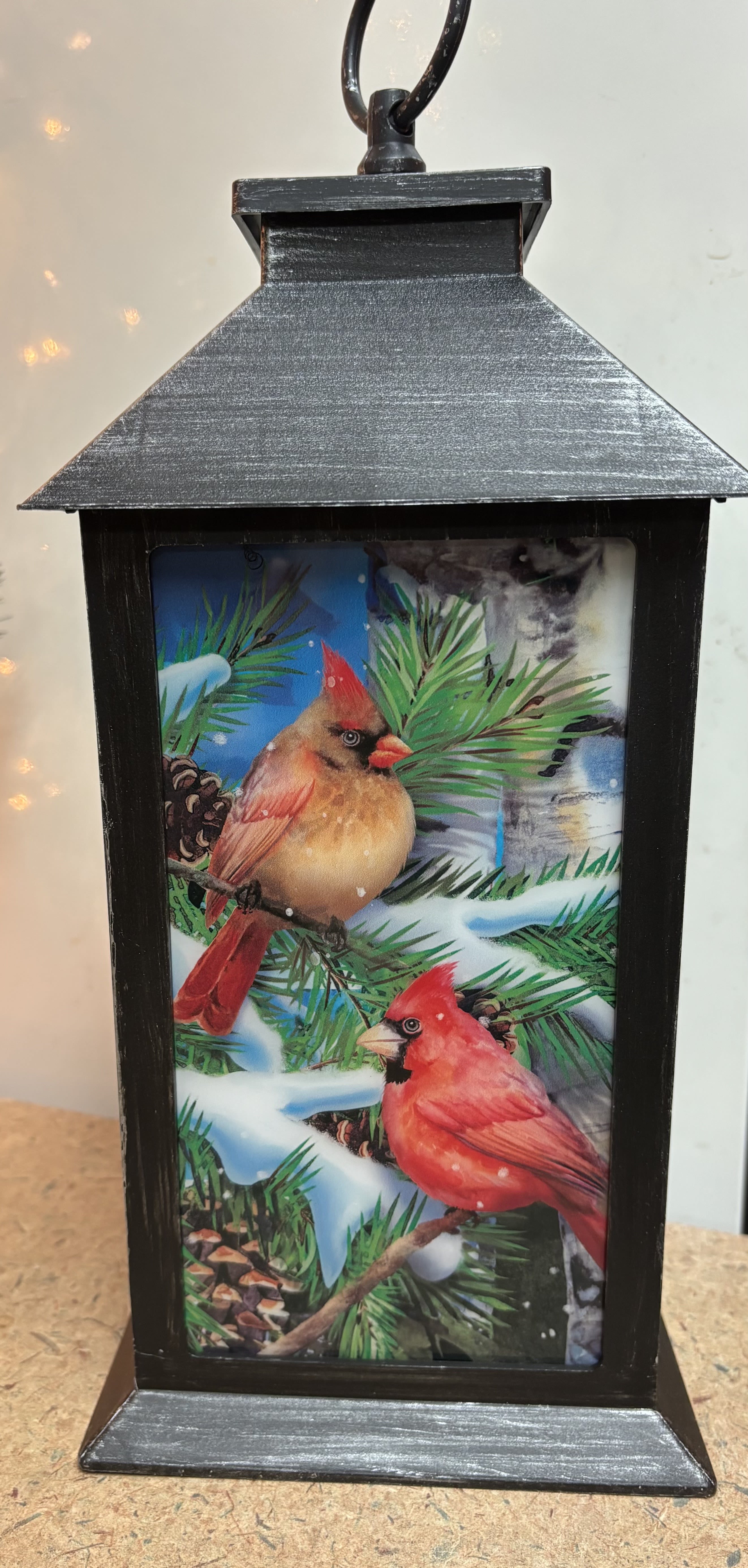 Cardinal Lantern - This trendy black resin lantern is highlighted by beautiful a beautiful cardinal scene.  Suitable for sympathy or for holiday decorating....loved by cardinal lovers!