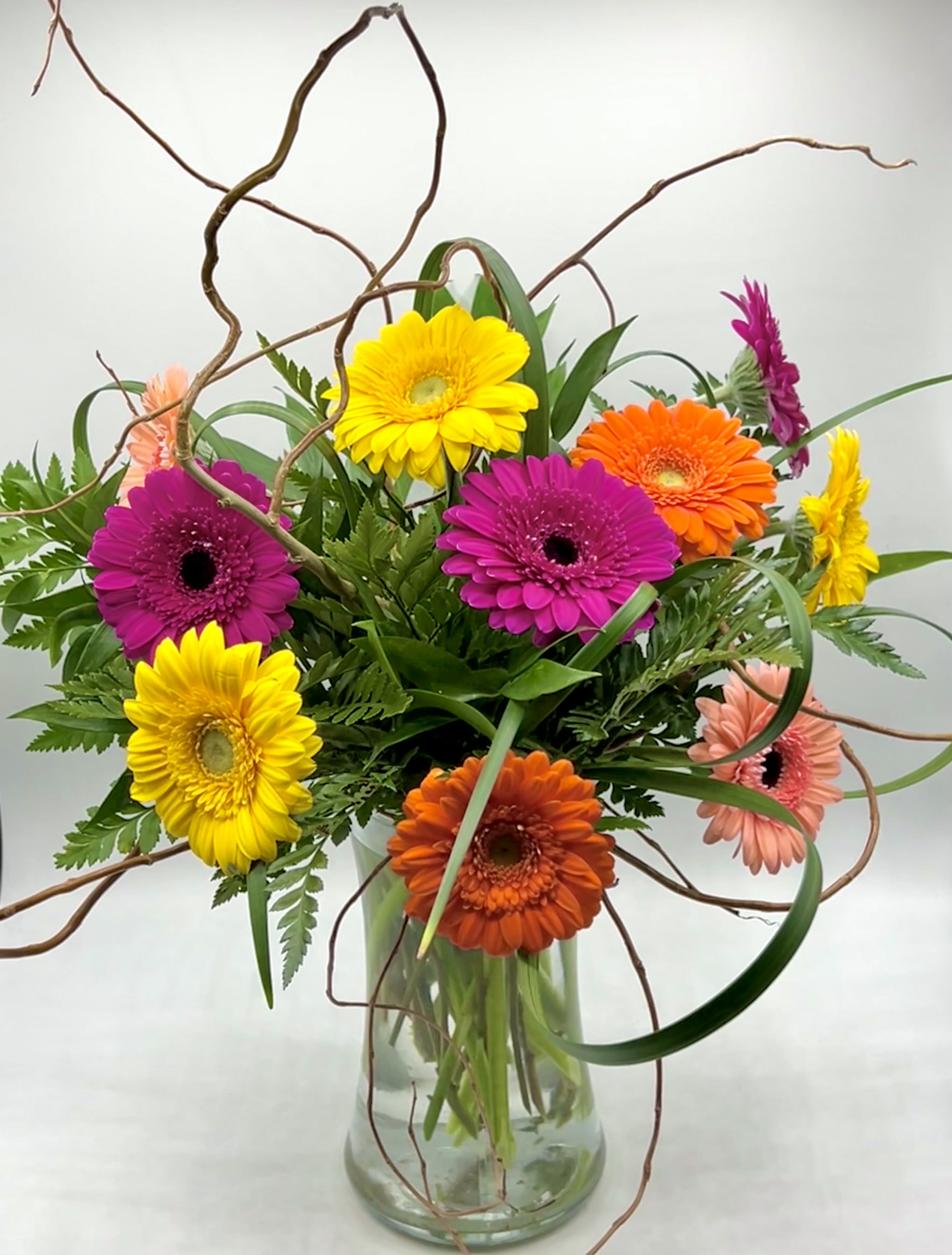 Gerbera Brights - Perfect Arrangement for A Birthday, Party or Any Celebration! Beautiful mix of Assorted Colored Gerbera Daisies &amp; Mixed Grasses &amp; Greens. Colors may Vary.