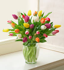 Mix Tulips - 2 dozen Tulips in clear vase 