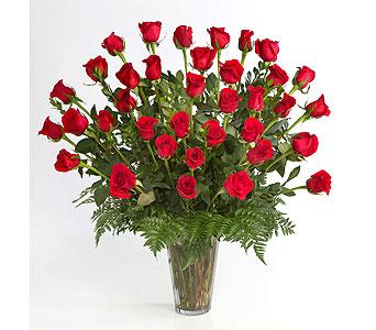 Three Dozen Red Roses - Shown as Standard. These premium threee dozen red roses provide the classic romantic gift. It's perfect for Valentine's Day or an Anniversary.  **We custom design this arrangement and use the freshest flowers available the day of delivery. The arrangement in this picture is an example of the size and style and may not feature the exact product shown.**