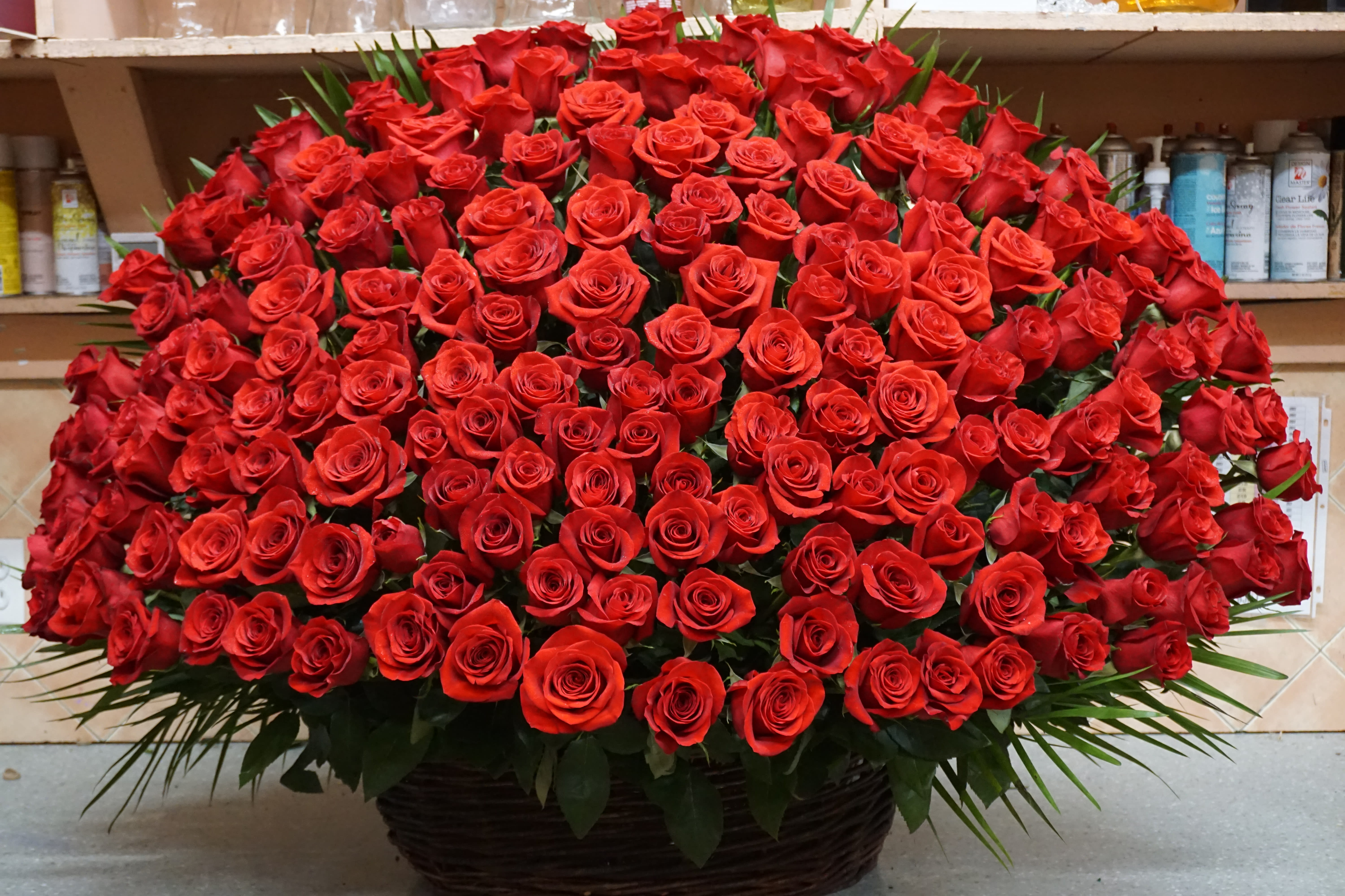 A Whole Lotta Love - "If I had a rose for every time I thought of you, I'd be picking roses for a lifetime".