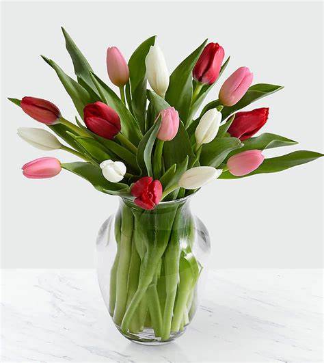 Heart Tulips - Perfect for valentine's Day! Valentine colored tulips in a vase. 10 for 65.00 20 for 80.00 30 for 95.00