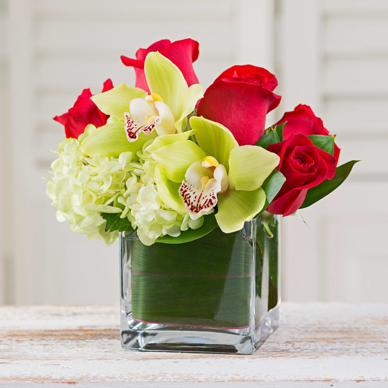 Romantic Moment - Red roses, green hydrangea, and cymbidium with a burgundy throat in a 4" glass cube wrapped with a ti leaf.
