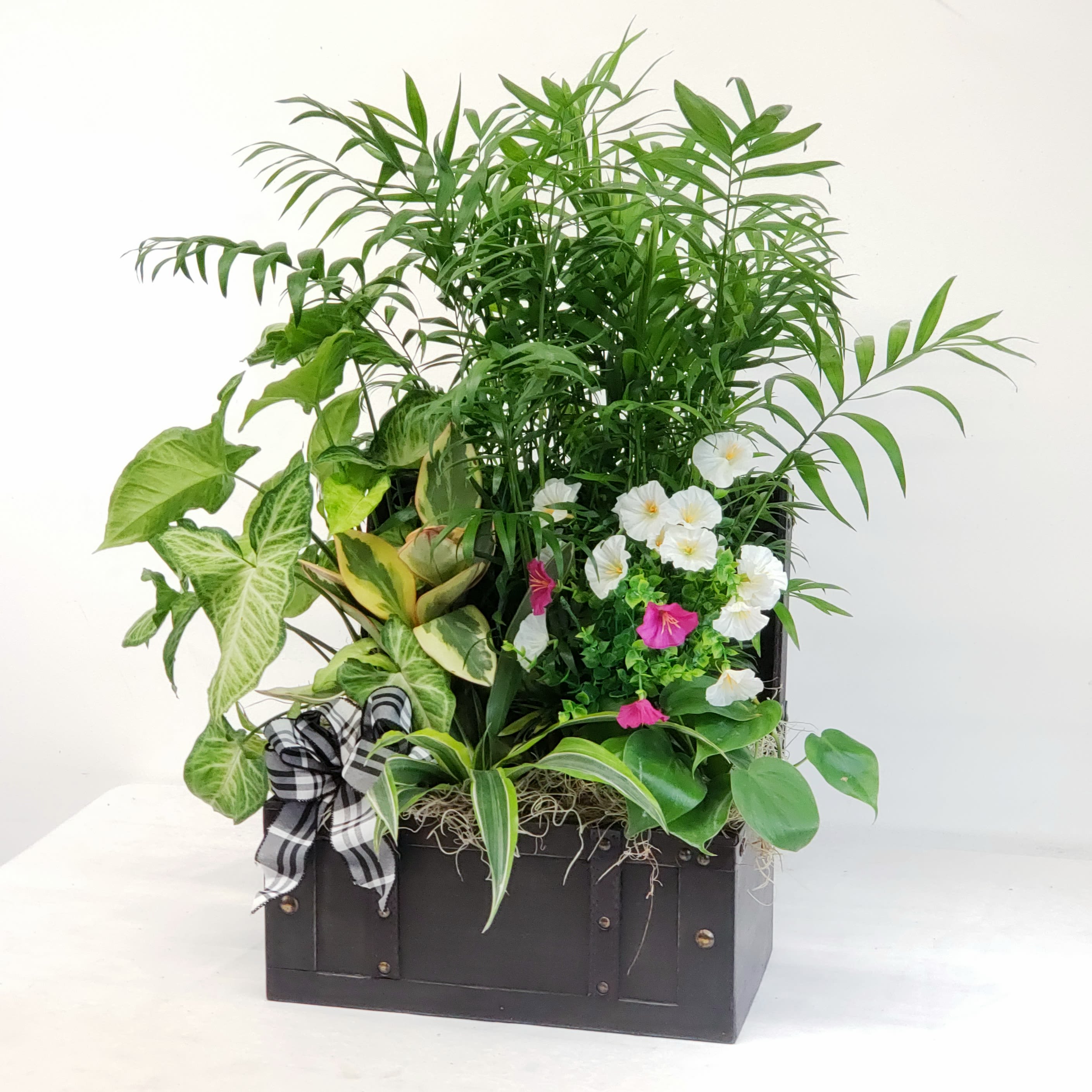 Cedar Chest Planter - Large cedar chest filled with lush green plants. Accent silk flowers added for a beautiful touch of color. Perfect for any occasion. Chest is 14" wide by 8" deep. Total height approximately 28" to 32". 