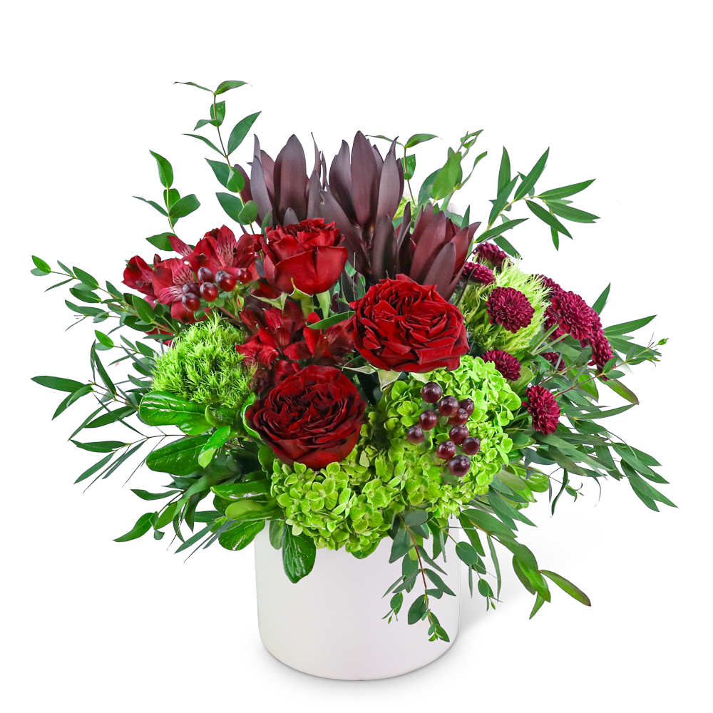Rose Enchantment - Royal Enchantment is a stunning floral arrangement with deep burgundy and vibrant green tones. Featuring roses, Hydrangea, Leucadendron, Button Spray Mums, Alstroemeria, and premium foliage in a chic ceramic vase, this design radiates elegance and charm, making it a perfect choice for adding a touch of magic to any occasion.