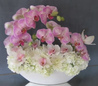 The Ingenue  - Delightfully innocent and romantic....who wouldn't blush given a noble gesture such as this???