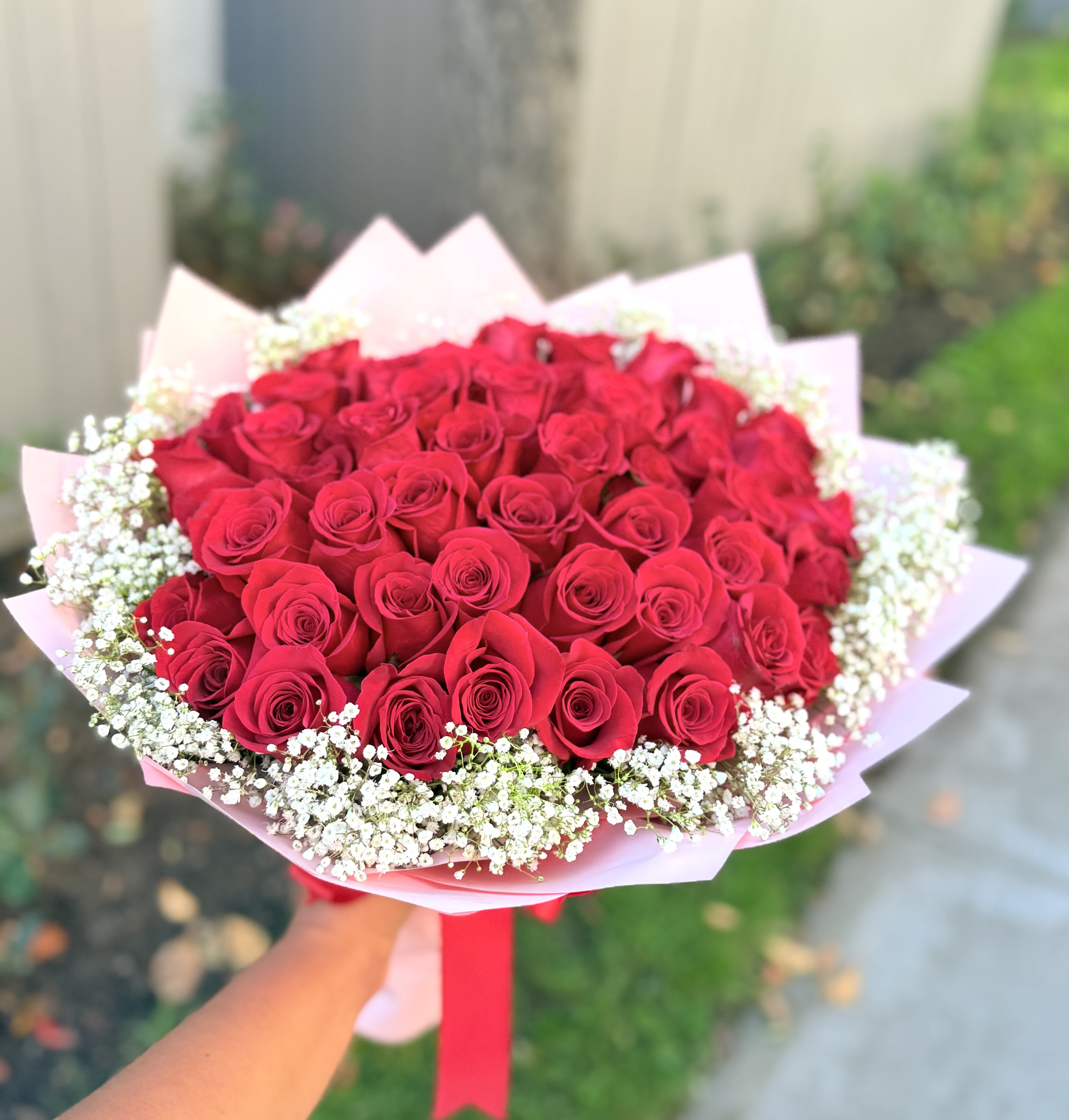 "My Love" 50 Red Roses Bouquet  - The perfect gift to express your love . This beatiful bouquet is  created with 50 freedom red roses , It's accented with seasonal white little flowers ( wax flower or baby breath flowers in white color) Long stem roses. Wrapped in solid pink paper. Large size  Round style  Share joy with flowers.  