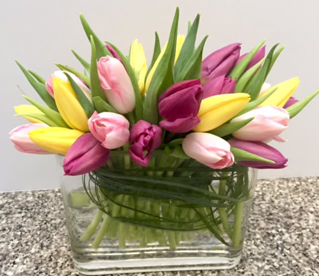 Tulip Delight - A gathering of 2 dozen tulips in the colors of the season, designed in our signature oval, sleek glass vase.