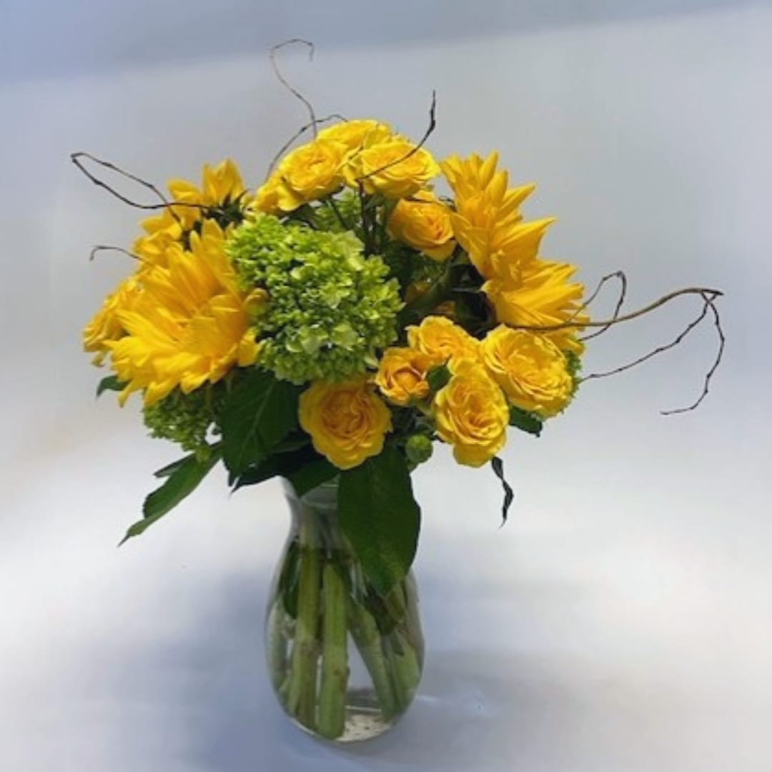 Little Bit of Sunshine - You will love this happy and bright arrangement featuring one of summer's favorites - sunflowers and hydrangeas. Order this bouquet of happy for any occasion! Various shades of yellow and green fresh flowers aired with fresh greenery offers up this splash of sunshine that will brighten any day!
