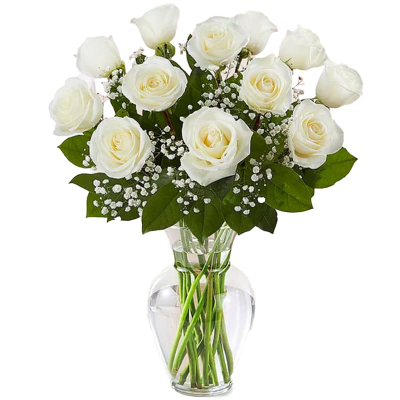 1 Dozen Long Stem White Roses - Pure, timeless, and beautifully elegant, this classic arrangement of one dozen long stem white roses is a graceful way to express sincerity, care, and heartfelt emotion. White roses are traditionally associated with purity, peace, and new beginnings, making them a meaningful choice for thoughtful and respectful occasions.  Thoughtfully arranged with fresh greenery and delicate filler flowers, this refined rose bouquet is ideal for Valentine’s Day, sympathy, anniversaries, or offering comfort and support during meaningful moments. Whether expressing gentle love, remembrance, or quiet appreciation, these long stem white roses convey beauty and grace in the most sincere way.