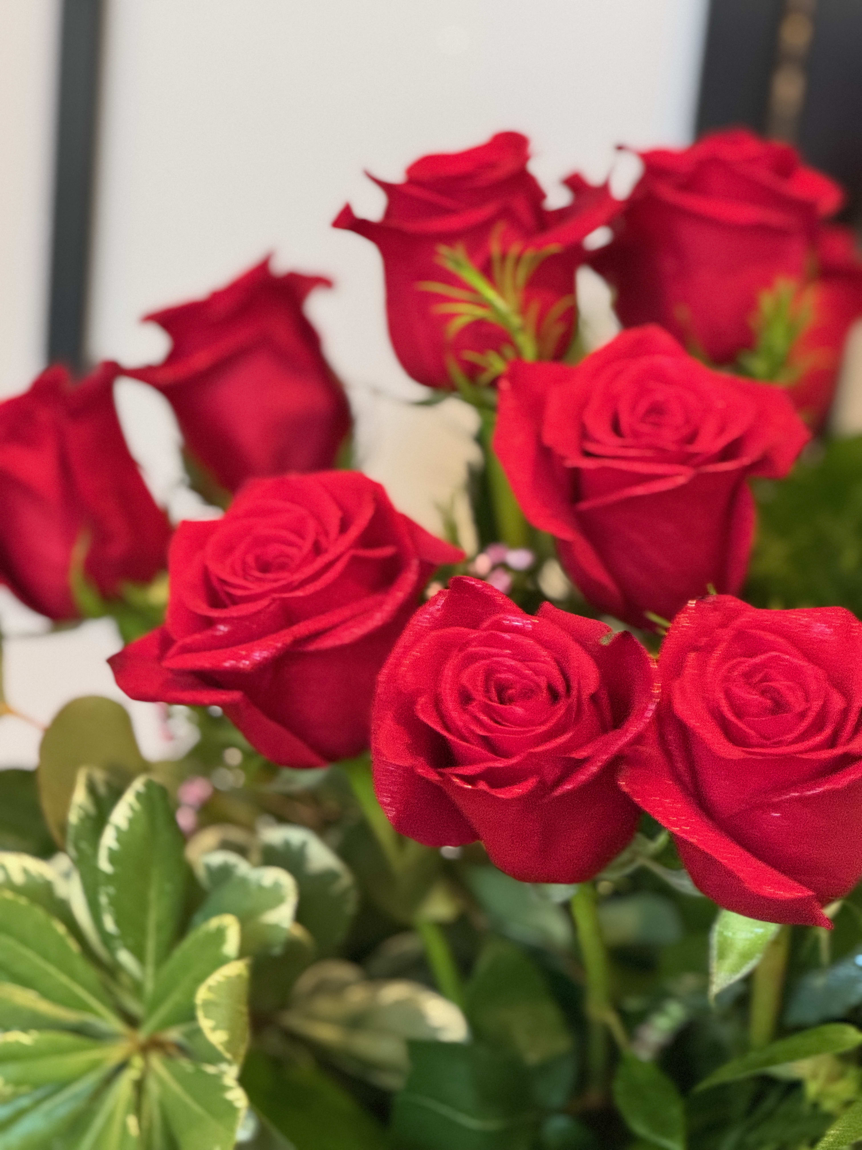 Single Roses - Store use only