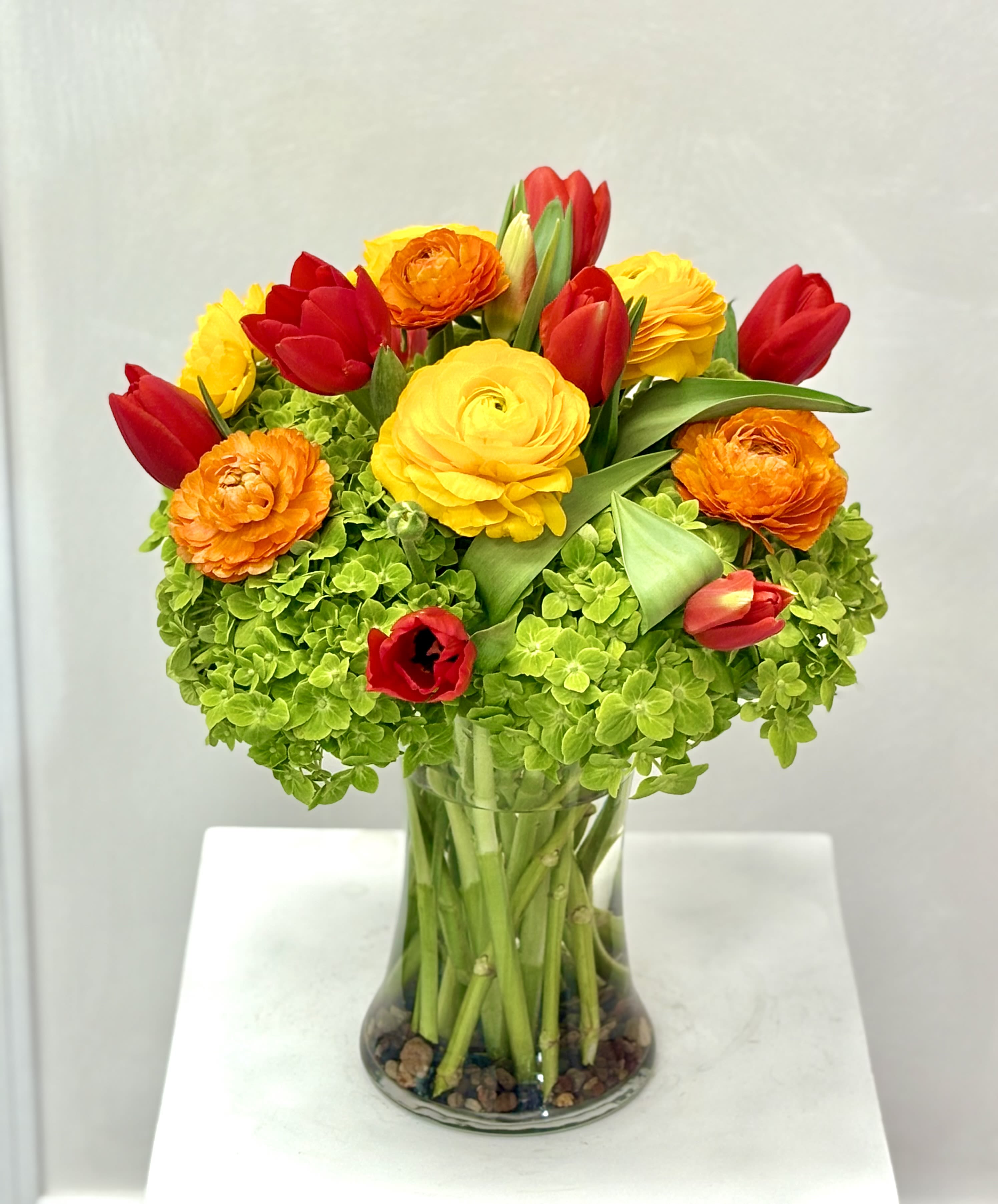 Spring Garden Radiance By VLM Flowers - A vibrant and uplifting arrangement featuring fresh green hydrangea, striking red tulips, and cheerful yellow and orange ranunculus. Designed in a clear glass vase, this bouquet captures the warmth and energy of spring with its bold colors and natural elegance—perfect for celebrations, thank-you gifts, or brightening any space.