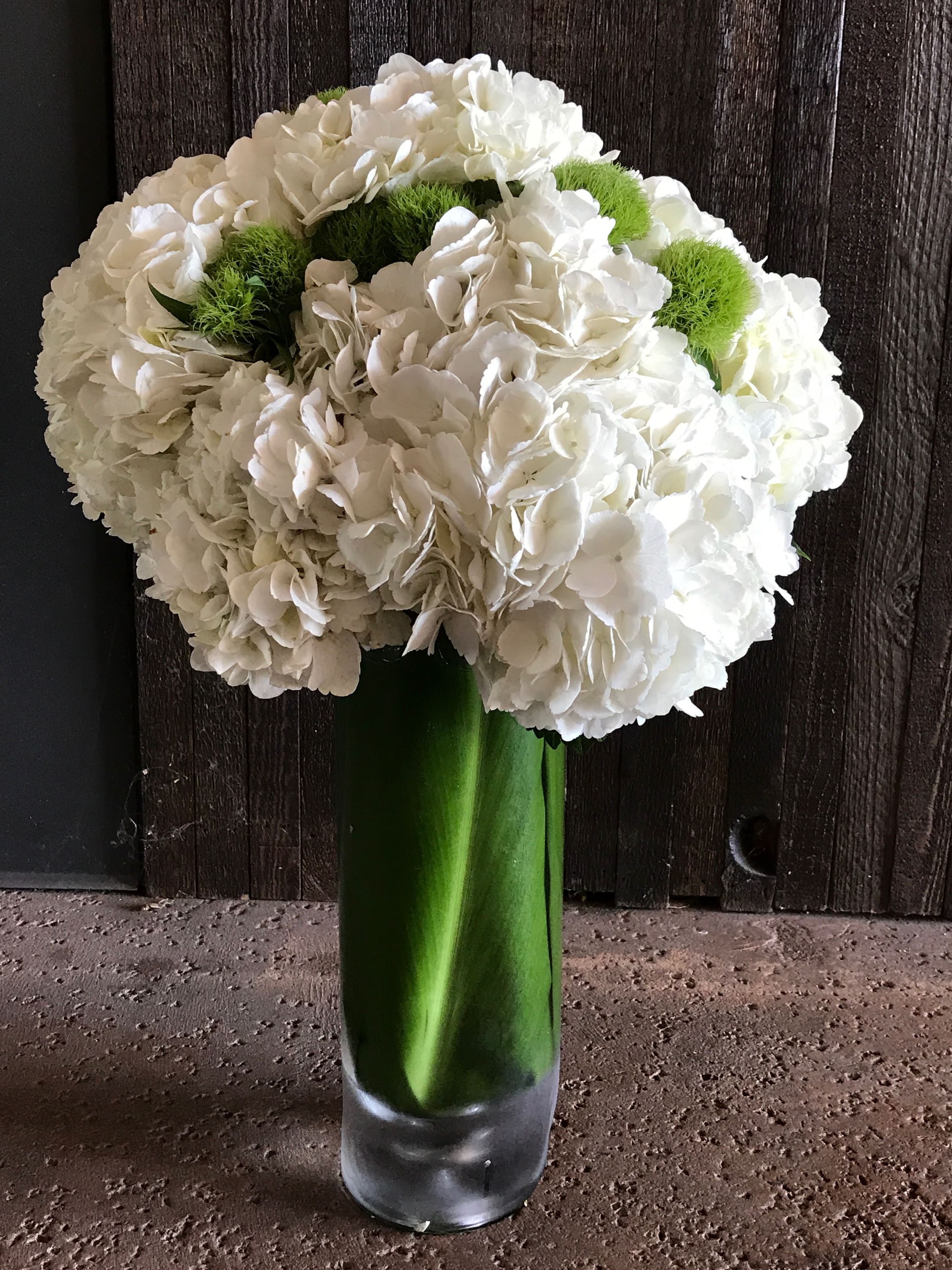 Blooming Hydrangeas - An elegant mix of hydrangeas and green dianthus in tall cylinder vase wrapped in tea leaves.