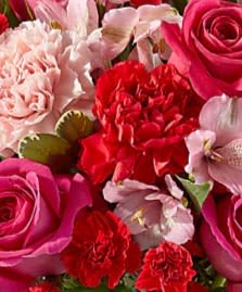 Designer's Choice - Valentine's - Our designers will make a lovely arrangement of our most beautiful flowers, a perfect way to show your love! 