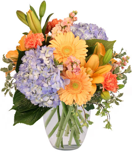 Filled with Delight - Forget about peaches and cream! This arrangement is filled with peaches and dreams! The dreamy blue hydrangeas, marvelous peach gerberas, and lovely peach lilies are sure to dazzle. Perfect for any occasion, this arrangement will have them Filled with Delight!  Includes: Ginger Vase, Blue Hydrangeas, Peach Gerberas, Orange Carnations, Peach Stock, Peach Lilies.  