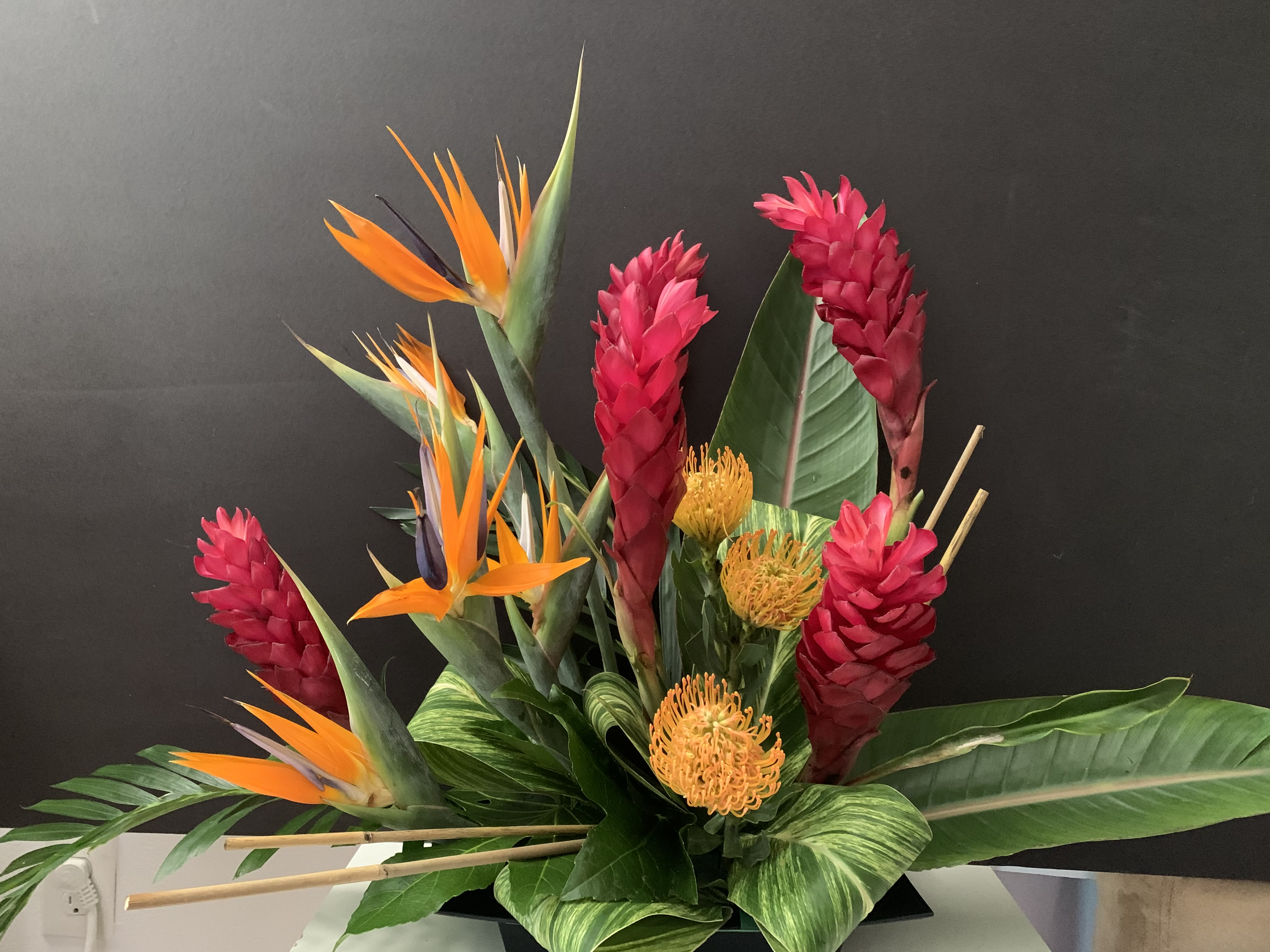 Asian Touch - 5 stems of Birds of Paradise , 3 Gingers , 2 Pincushion proteas , green in square black container 