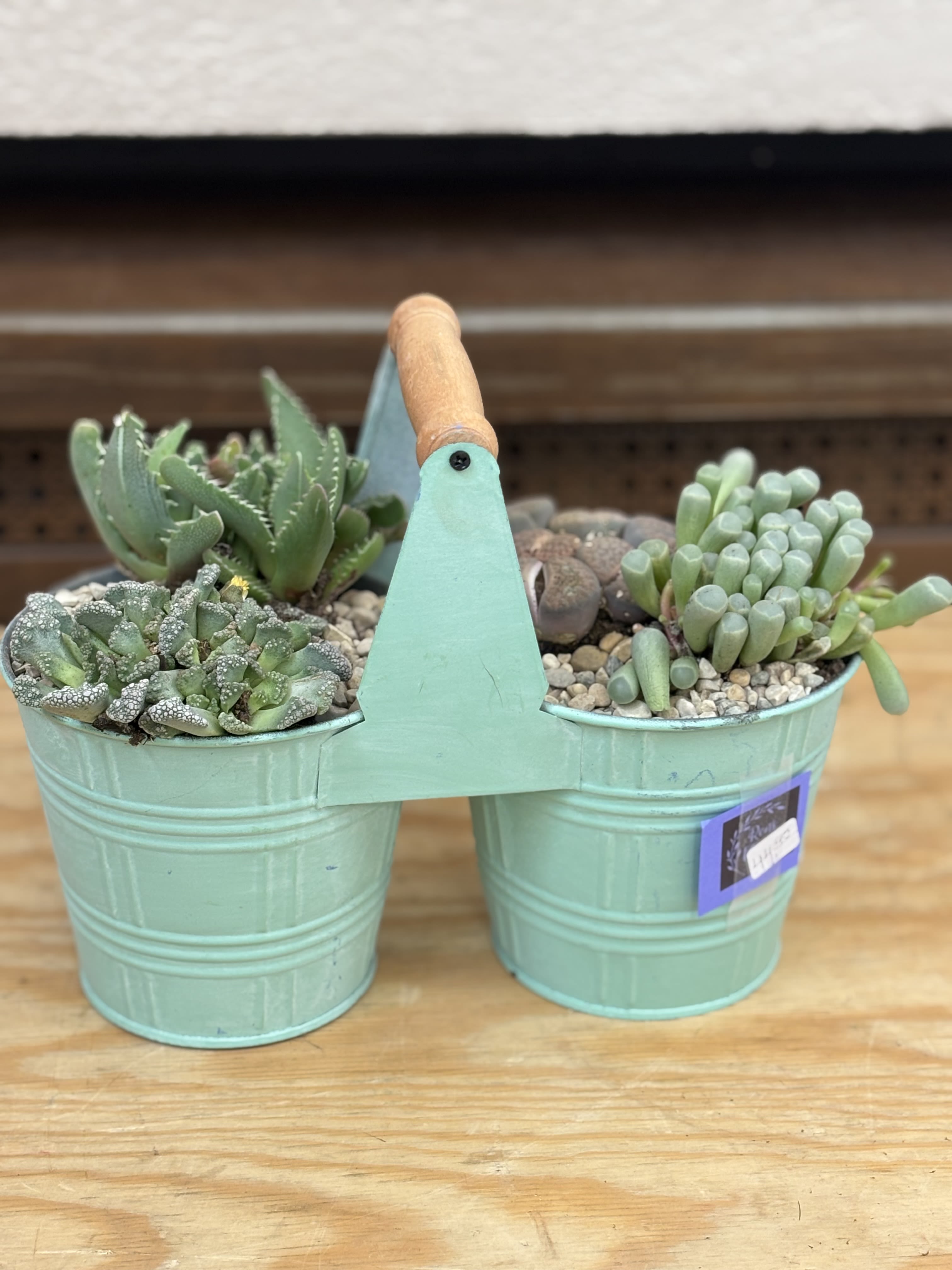 Double Succulent Bucket  - A double bucket planter with 4 3" succulents. 