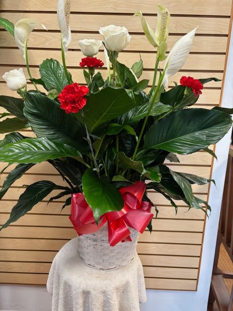 10" Peace lily with Cut Flowers (*Cut flower colors can change) - 10" Peace lily in a basket with red carnations and white roses.  ***PLEASE note in the special instructions/notes section what color cut flowers you would like.