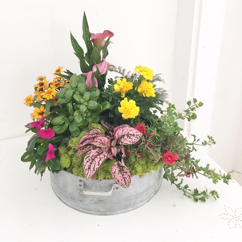 Early Autumn Garden Planter - Bring the garden home with this updated take on a dish garden - plants will vary based on seasonal availability. This planter will include an herb or two, flowers and interesting greenery that can planted in the garden once they have outgrown their planter. Our galvanized tin planter with handles is perfect to reuse or repurpose as a tray. 