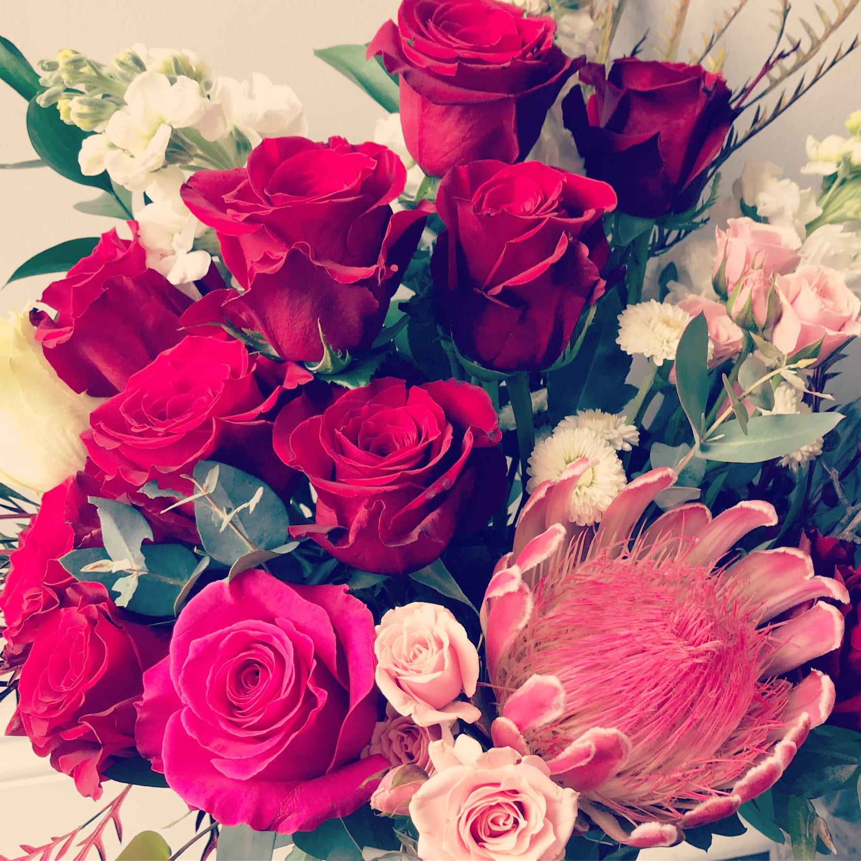 Pre Order Valentines Day Designers Choice - Avail Week of Valentines - Let our Designers create something unique and artistic with premium accent florals and greens.