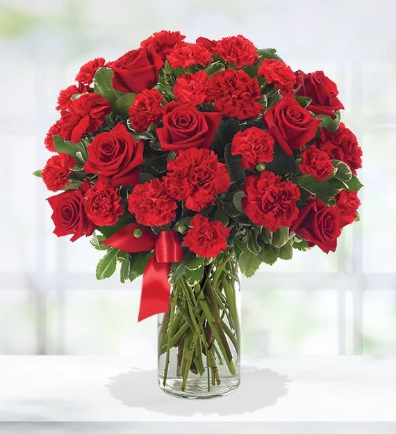 Blooming Love - Red roses, red carnations accented with variegated pittosporum, Finished with a red bow.