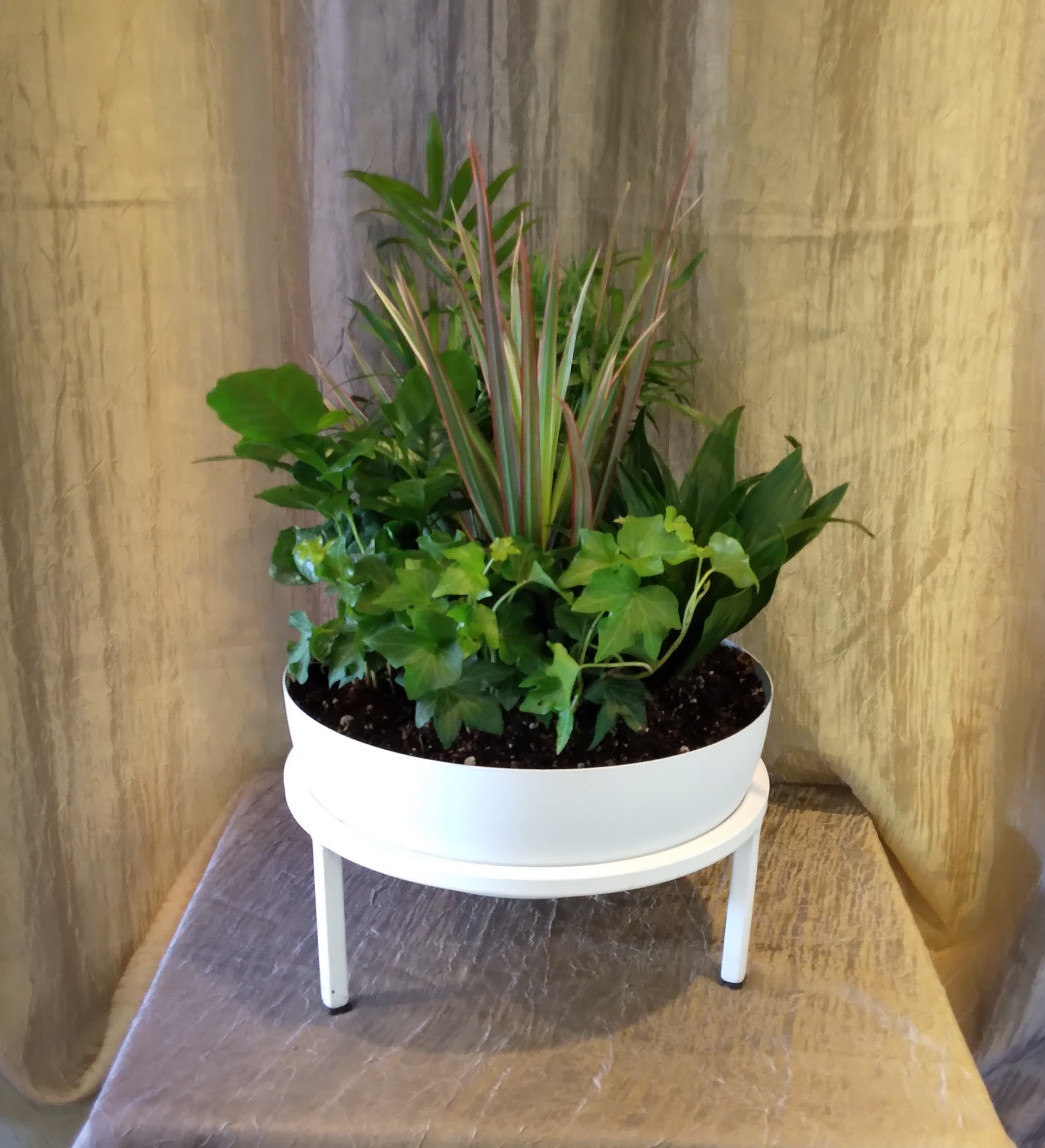 Sophisticated Standing Planter - This simple, but elegant white planter contains mixed houseplants, and is the perfect gift for any occasion. 