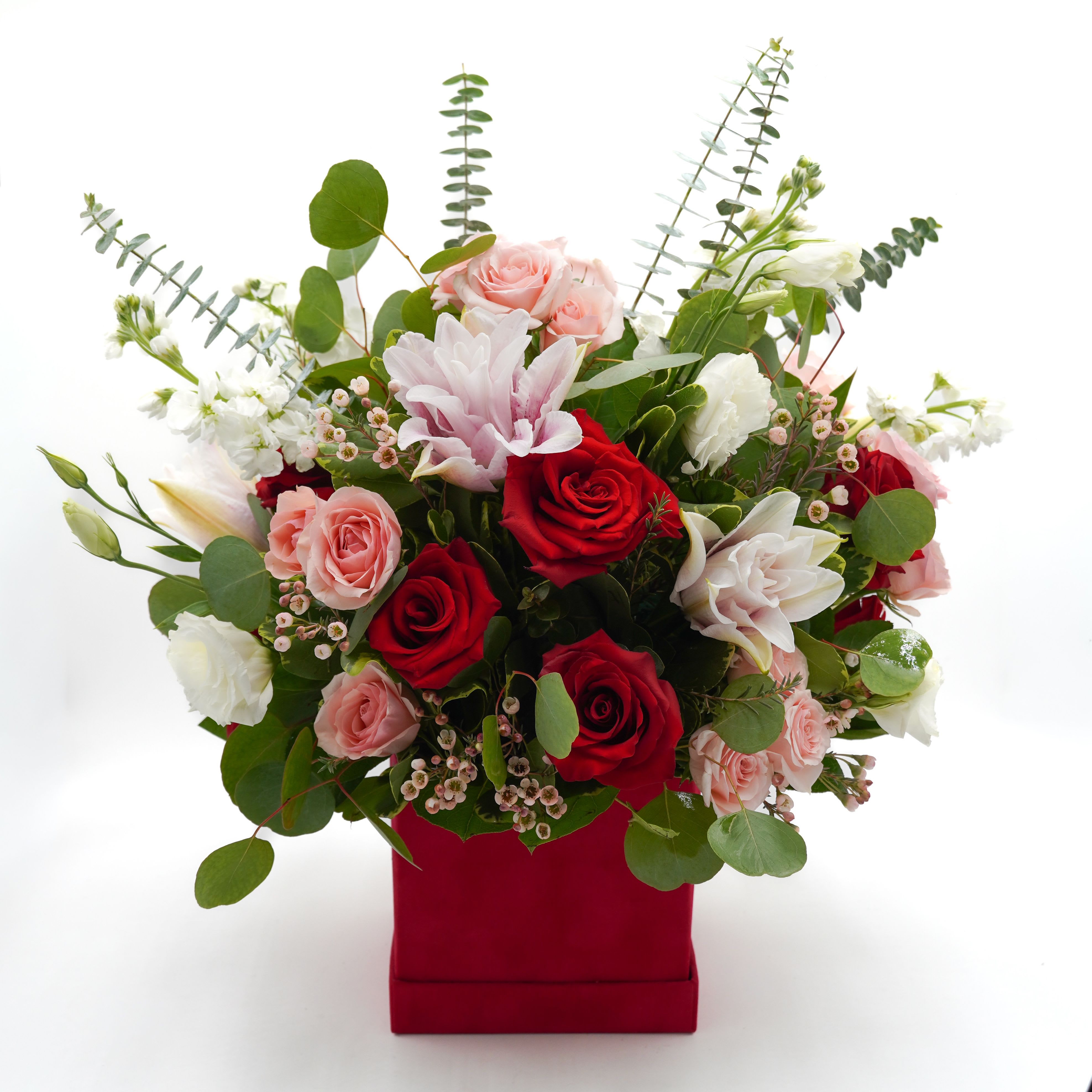 Ruby Royale - A romantic mix of red and blush pink roses with soft white blooms and lush eucalyptus, designed in a bold red cube box. Perfect for expressing love and heartfelt moments.  Plush Material  Cube Box - 6x6