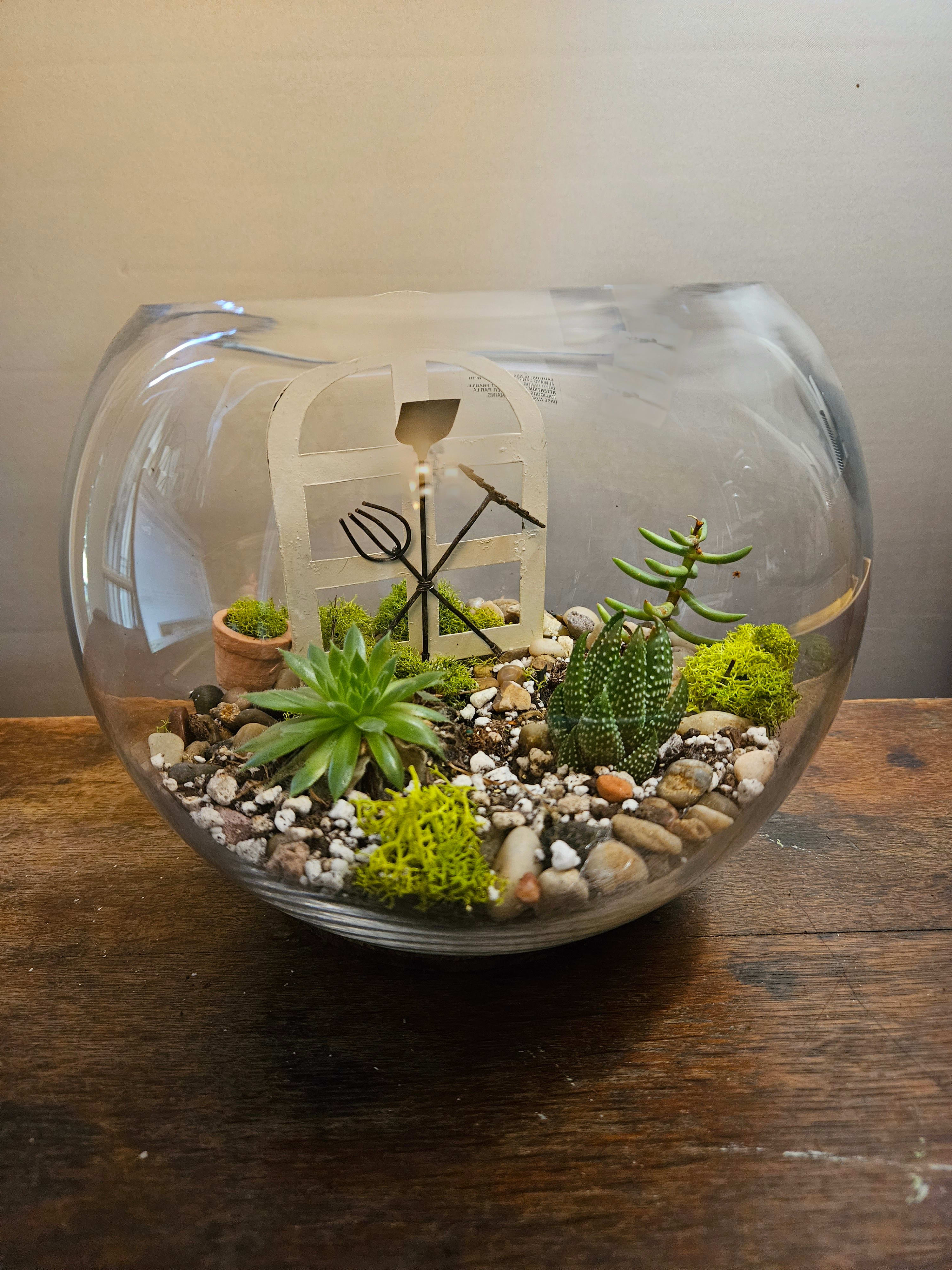 Garden Gate - A sweet little garden in a glass bubble bowl with lovely little succulents and a  charming garden gate.