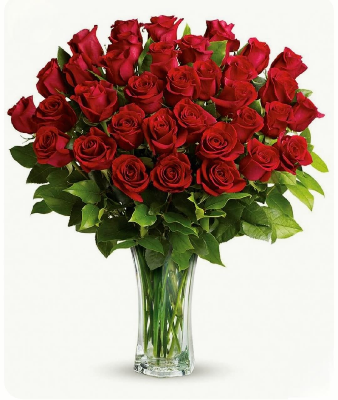 Lancome by Pretty in Petals  - This arrangement features a bouquet of red roses densely packed in a clear glass vase. The blooms are fresh and evenly opened, surrounded by lush green leaves that add contrast and fullness. The symmetrical design and rich color palette create a classic and elegant presentation, ideal for romantic or celebratory occasions.